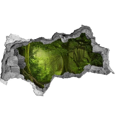 Autocolant autoadeziv gaură O pădure verde plină de viață