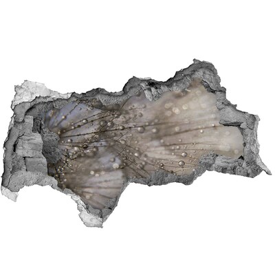 Fototapet 3D gaură în perete Picături de apă pe sticlă