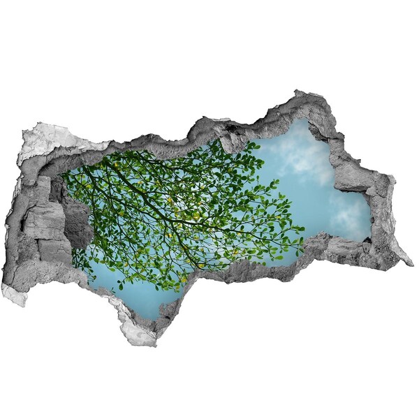 Fototapet 3D gaură în perete Frunze verzi sub un cer albastru