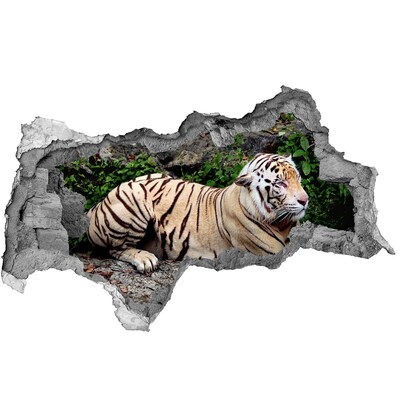 Fototapet 3D gaură în perete Tiger pe stâncă