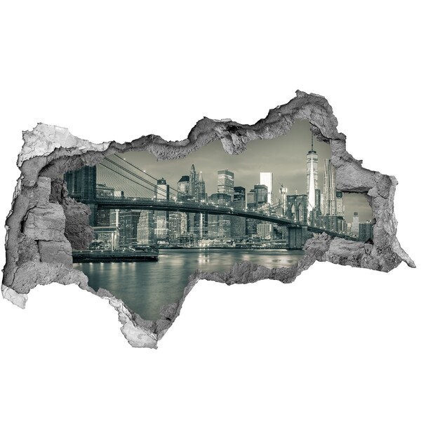 Fototapet 3D gaură în perete Vedere a orașului New York