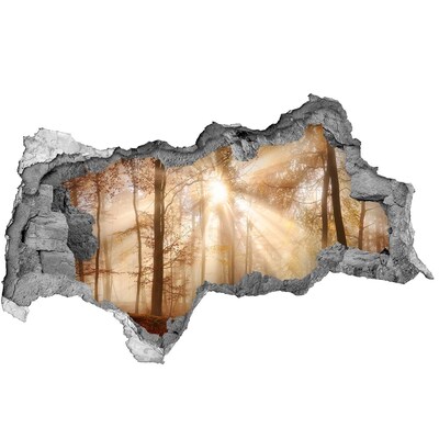 Fototapet un zid spart cu priveliște Pasul Pădurii Soarelui