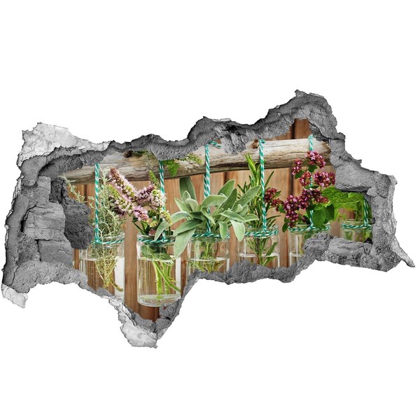 Autocolant 3D gaura cu priveliște Grădină de plante aromatice în borcane