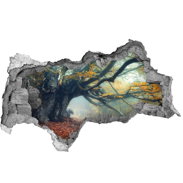 Fototapet 3D gaură în perete Pădurea fermecată în haina ei autumnală