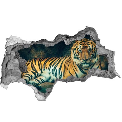 Fototapet 3D gaură în perete Tiger Cave