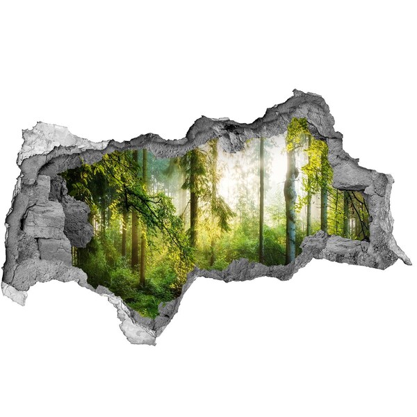 Fototapet 3D gaură în perete Pădurea de dimineață la soare