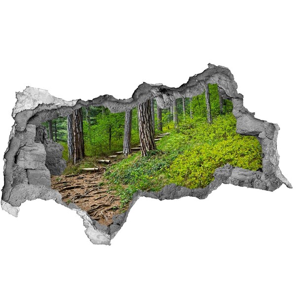 Autocolant 3D gaura cu priveliște drum forestier