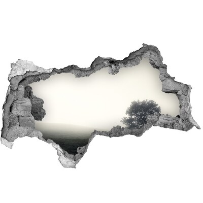 Autocolant de perete gaură 3D O poiană cețoasă cu un copac singuratic