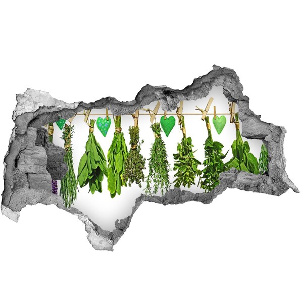 Fototapet 3D gaură în perete Grădina de plante aromatice „Gauă în perete”