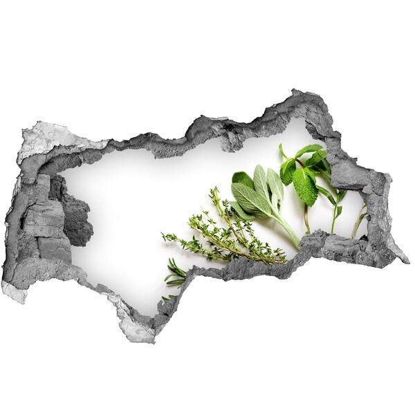 Autocolant un zid spart cu priveliște Grădină de plante aromatice din beton