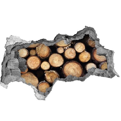 Fototapet un zid spart cu priveliște Lemn într-o gaură în perete