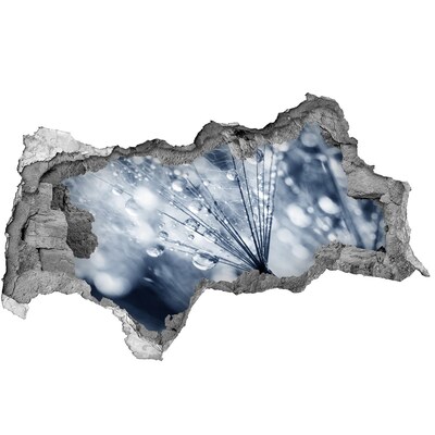 Autocolant gaură 3D Picături de rouă pe o păpădie