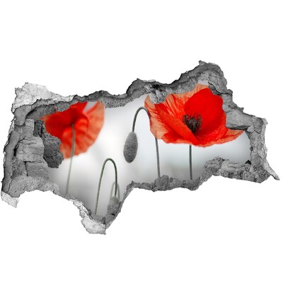 Autocolant 3D gaura cu priveliște Flori într-o gaură în perete