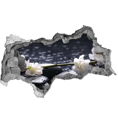 Fototapet 3D gaură în perete floare de cires