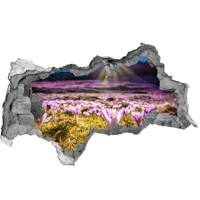 Fototapet 3D gaură în perete Un câmp de flori în soare