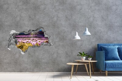 Fototapet 3D gaură în perete Un câmp de flori în soare