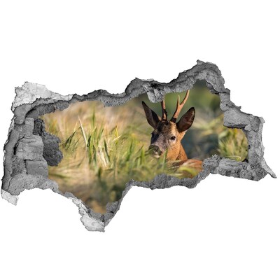 Autocolant 3D gaura cu priveliște Deer în domeniu