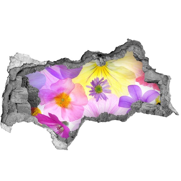 Fototapet un zid spart cu priveliște Paradisul Florilor printr-o gaură în perete