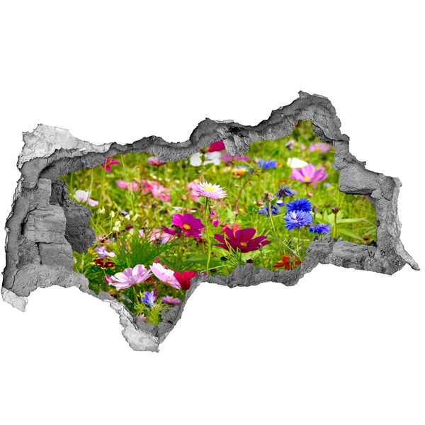 Fototapet 3D gaură în perete Un paradis al florilor în spatele zidului