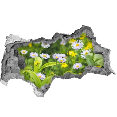 Autocolant de perete gaură 3D Un paradis al florilor în spatele zidului