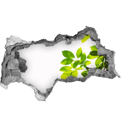 Autocolant un zid spart cu priveliște O oază verde în spatele zidului