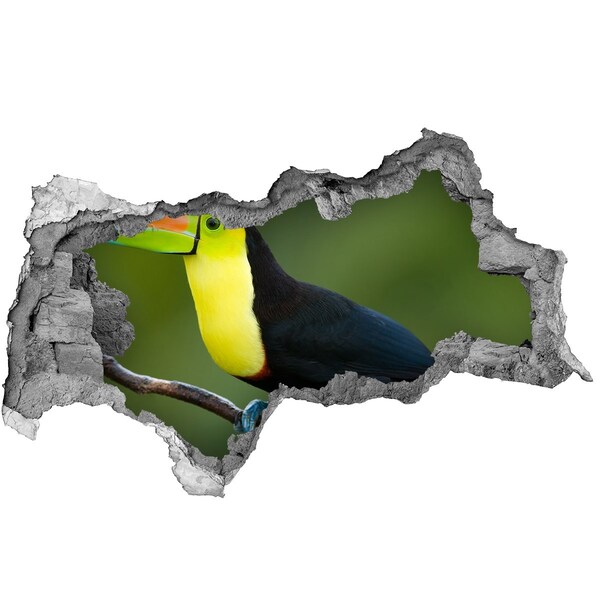 Autocolant 3D gaura cu priveliște Toucan