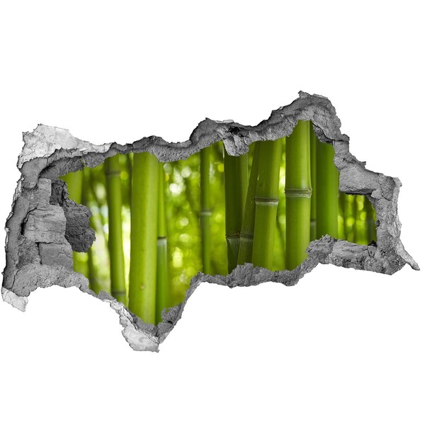 Fototapet un zid spart cu priveliște Crâng de bambus verde