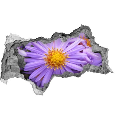 Autocolant de perete gaură 3D Floare în beton