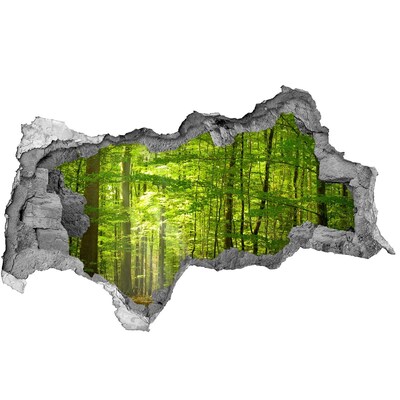 Autocolant gaură 3D Pădurea verde în lumina soarelui