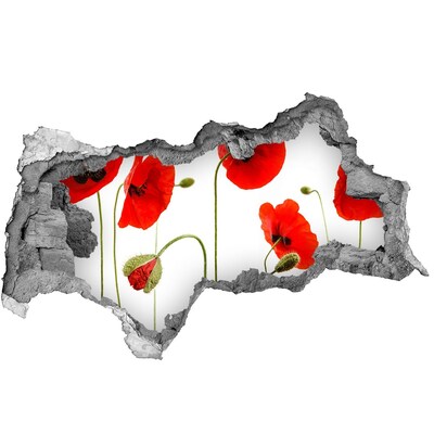 Autocolant de perete gaură 3D Flori de mac într-o gaură în perete