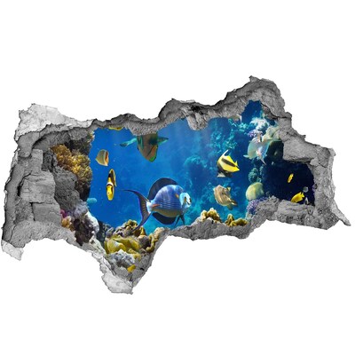 Autocolant 3D gaura cu priveliște Lumea subacvatică a recifului de corali