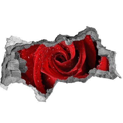 Autocolant autoadeziv gaură Floare în beton