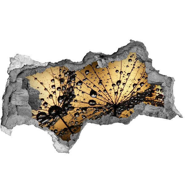 Autocolant gaură 3D Picături pe frunze