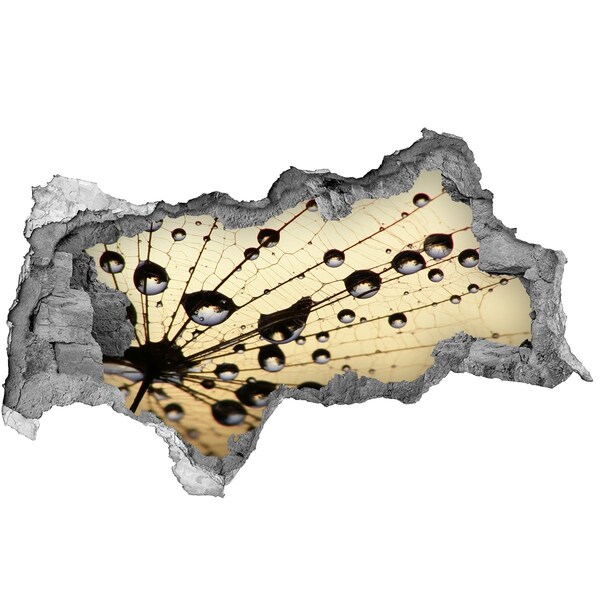 Fototapet 3D gaură în perete Picături de apă pe aripa unui fluture