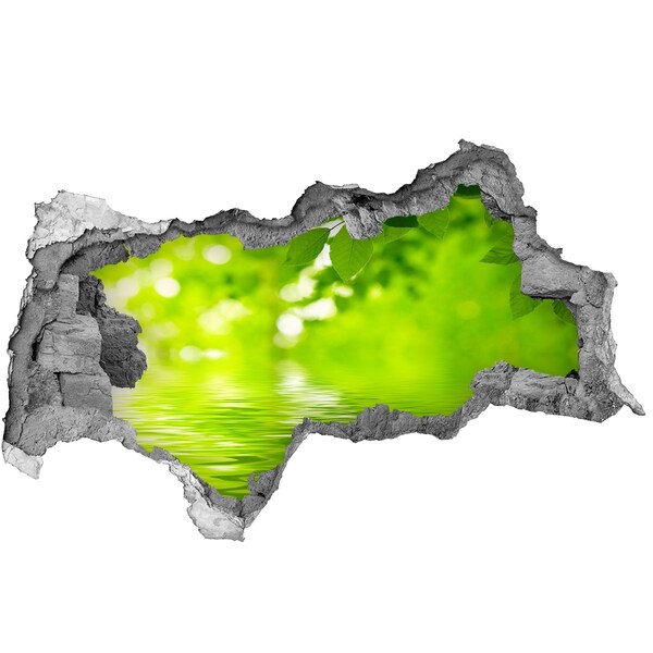 Autocolant gaură 3D Oază verde cu apă