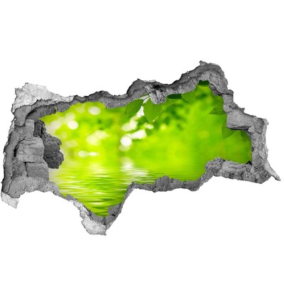 Autocolant gaură 3D Oază verde cu apă