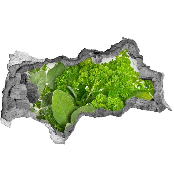 Autocolant gaură 3D O oază verde în beton