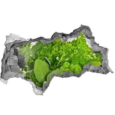 Autocolant gaură 3D O oază verde în beton