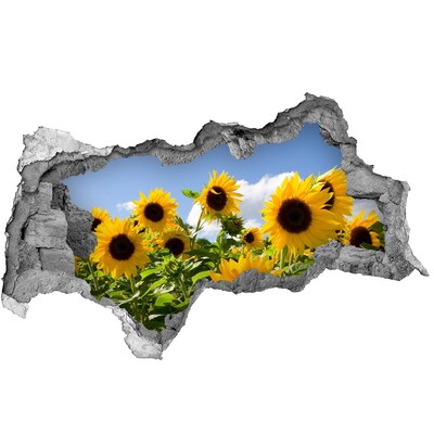 Autocolant gaură 3D Floarea-soarelui în lumina zilei
