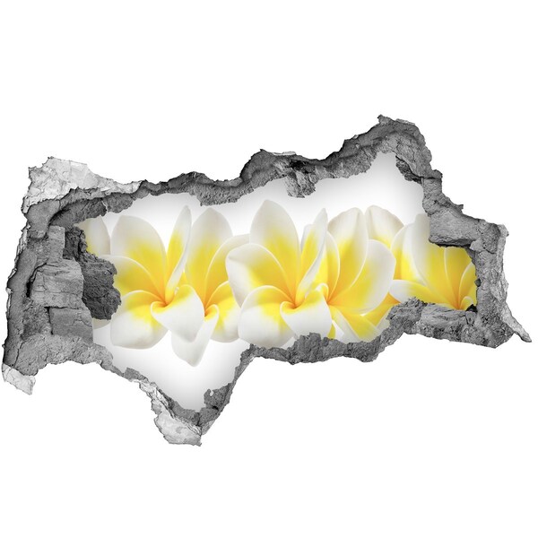 Fototapet 3D gaură în perete plumeria