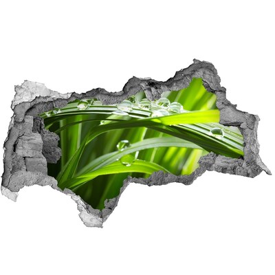 Autocolant autoadeziv gaură Pajiște verde cu picături de apă