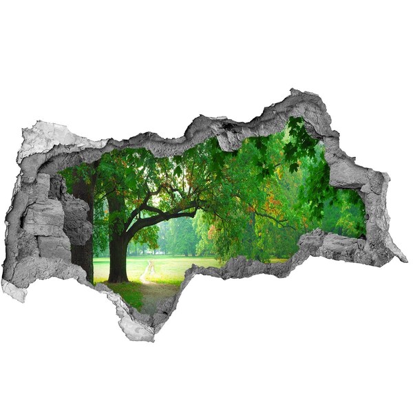 Autocolant un zid spart cu priveliște Parc verde la soare