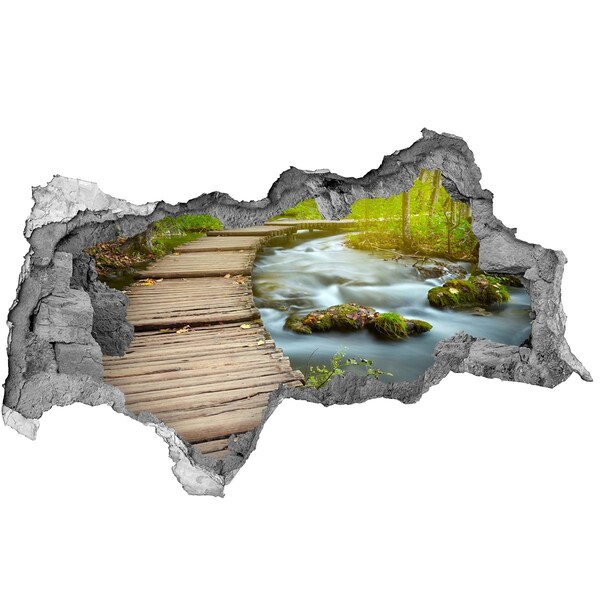 Fototapet 3D gaură în perete Un pârâu în pădure