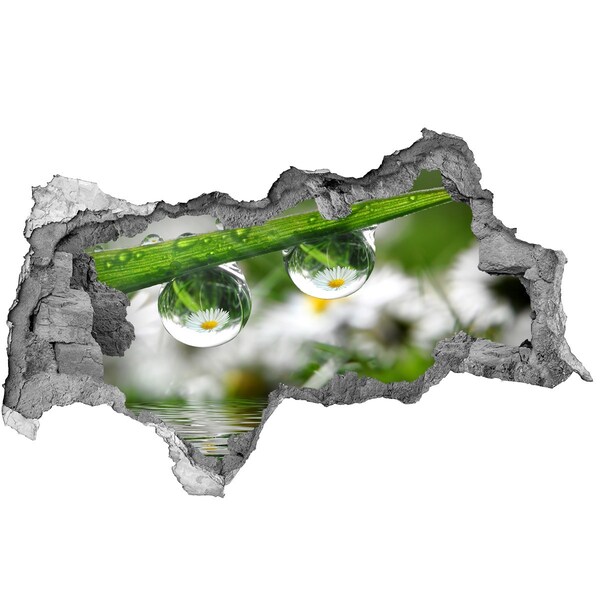 Autocolant 3D gaura cu priveliște Oază florală cu picături de apă