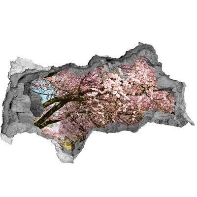 Autocolant gaură 3D Cireși înfloriți în parcul de primăvară