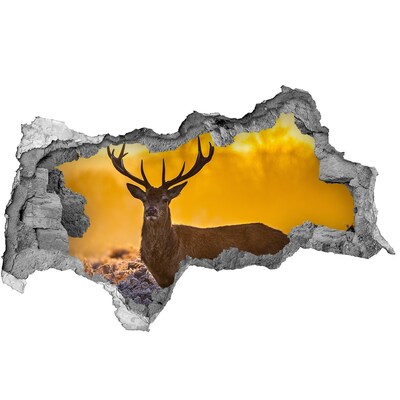 Autocolant de perete gaură 3D Sunrise Deer