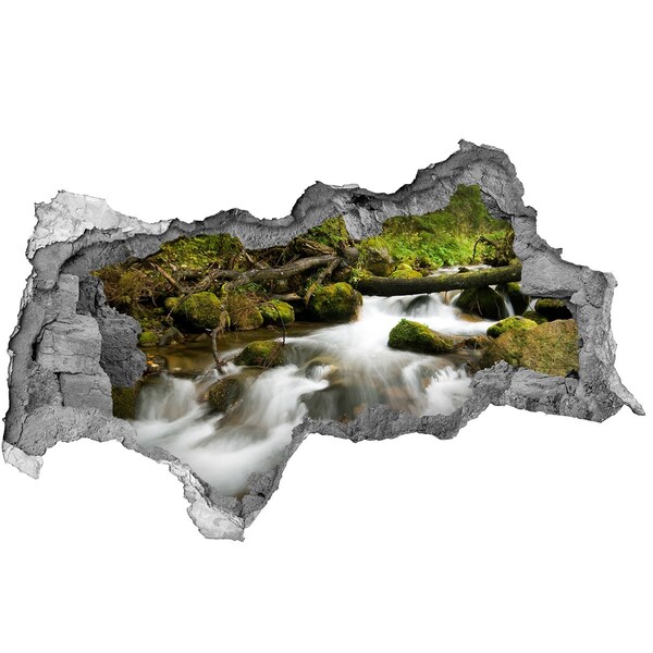 Autocolant un zid spart cu priveliște Pârâu verde în pădure