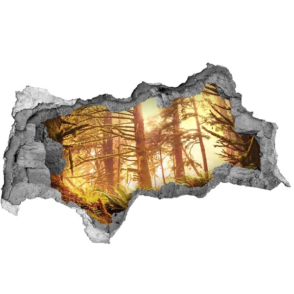 Autocolant gaură 3D O oază de pădure la soare