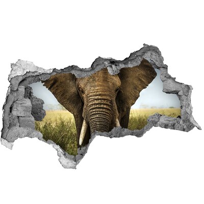 Autocolant 3D gaura cu priveliște Elephant pe savana