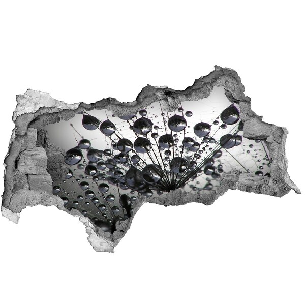 Fototapet 3D gaură în perete Picături de apă pe o păpădie
